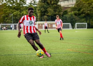 Richard Hale Football pitch