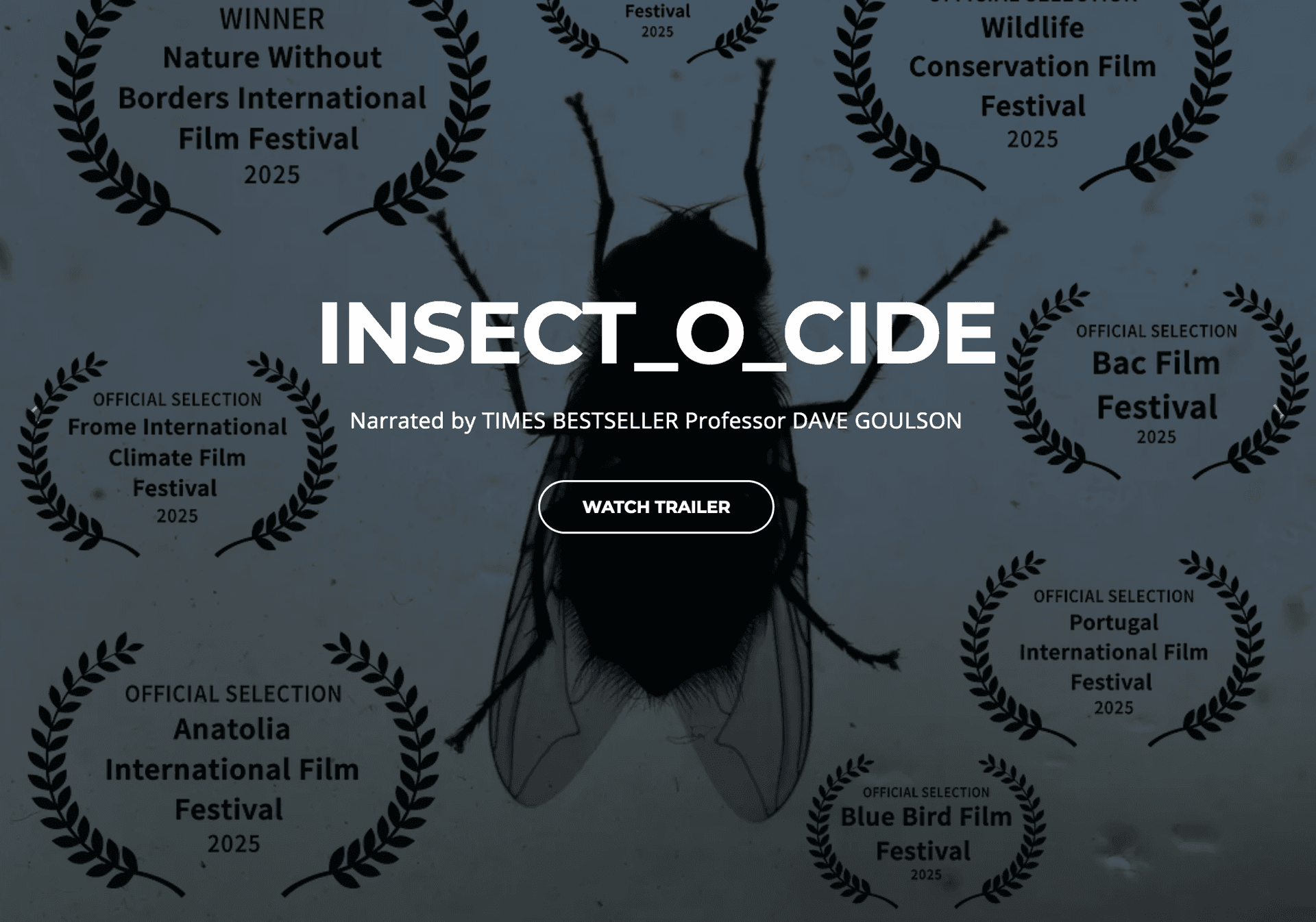 SCREENING OF INSECT_O_CIDE. A DOCUMENTARY ABOUT INSECT DECLINES. Q &A WITH THE DIRECTOR