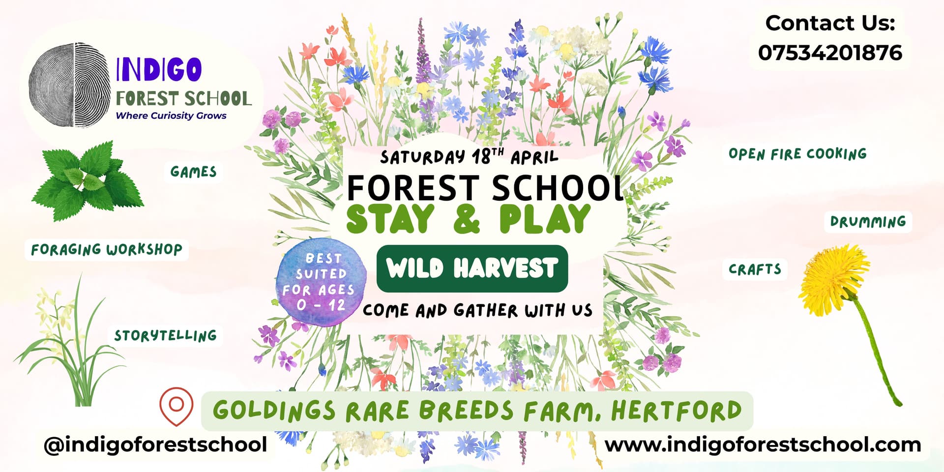 Wild Harvest @Indigo Forest School
