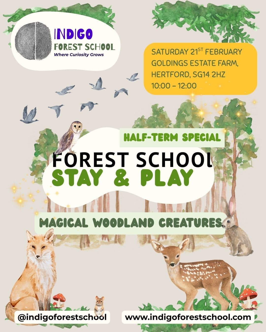 Magical Woodland Creatures