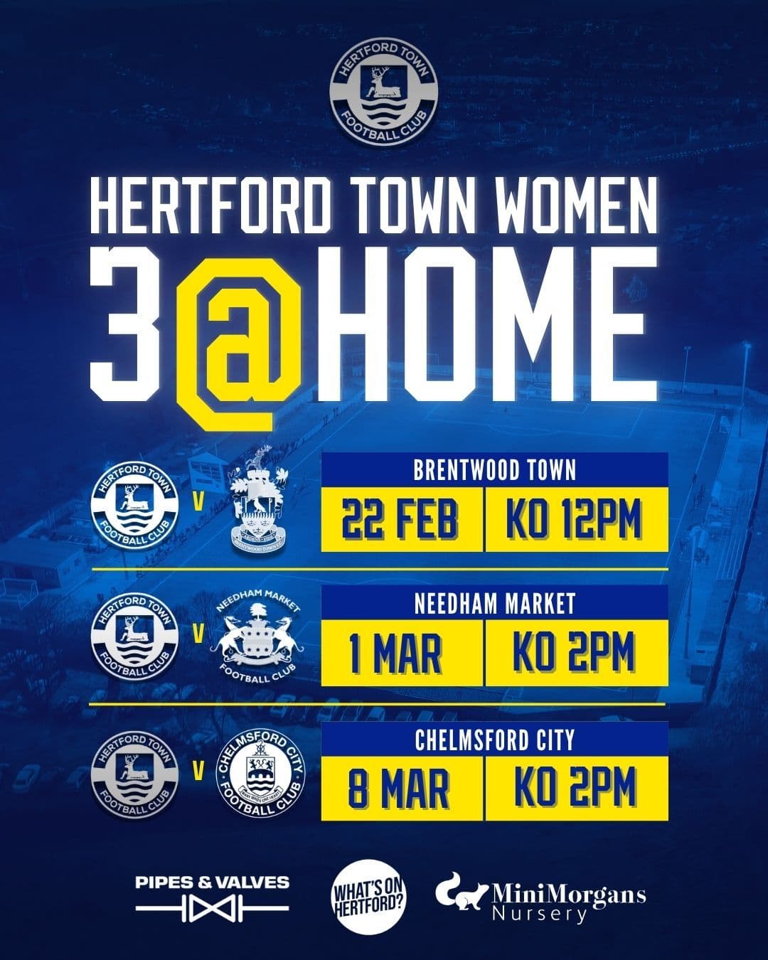 Hertford Town Women v Chelmsford