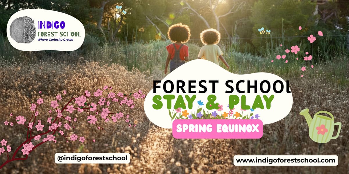✨🌱 Spring Equinox Celebration in the Forest 🌱✨