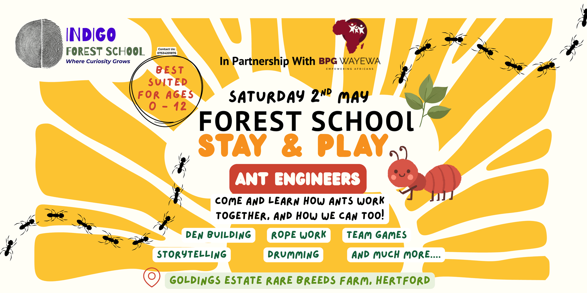 Indigo Forest School - ANT ENGINEERS