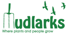 Mudlarks