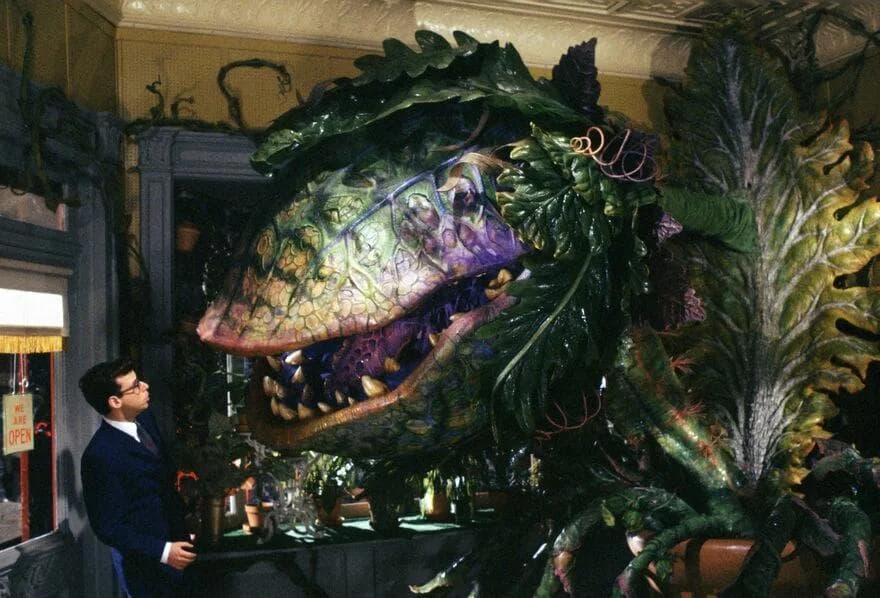 Summer Season: Musicals: Little Shop of Horrors (1986) (40th Anniversary)