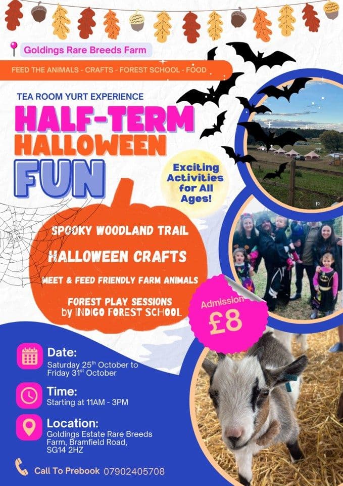 Half-Term Halloween